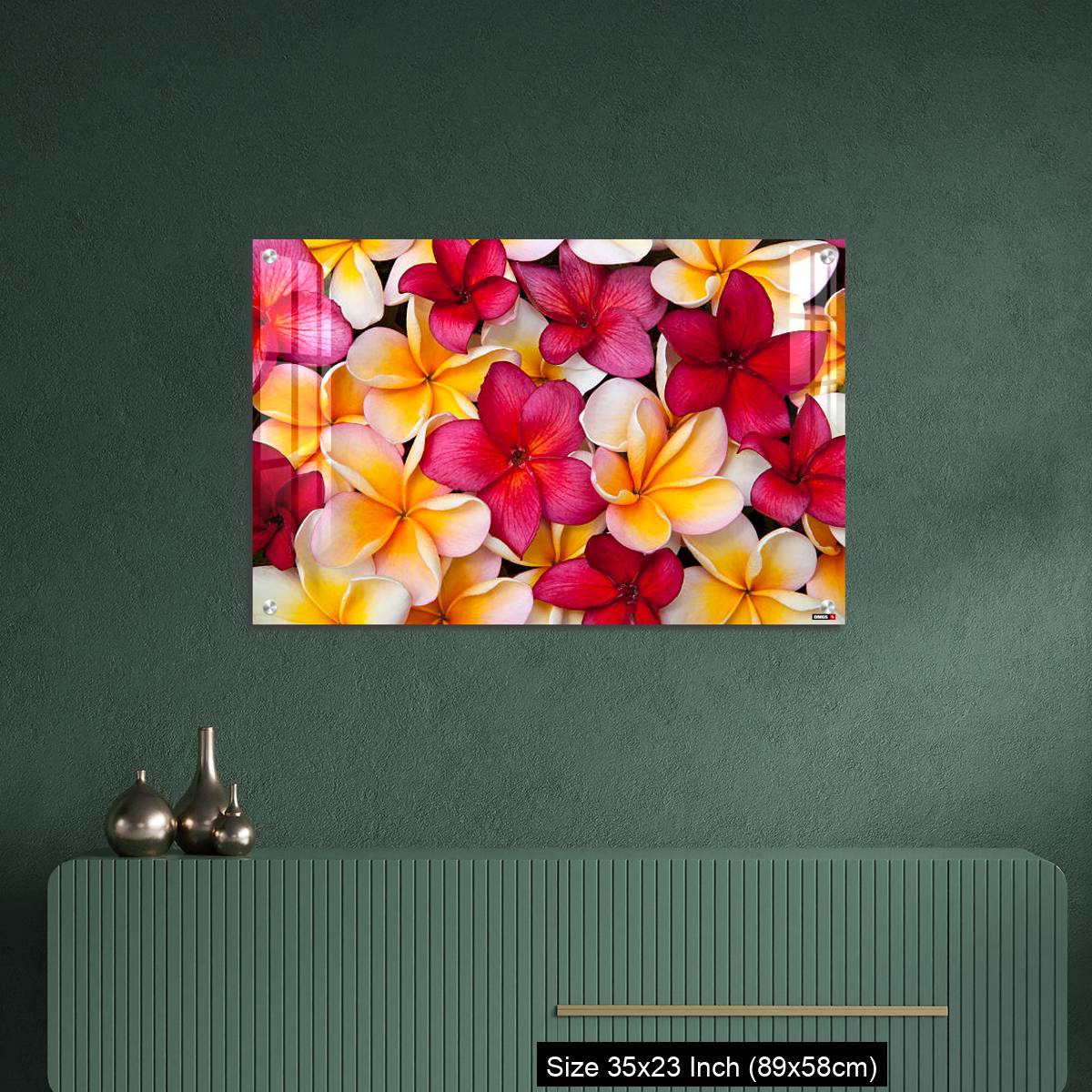 OMGs Acrylic Wall Decor – Colorful Pulmeria (or Frangipani) flowers - Image 9