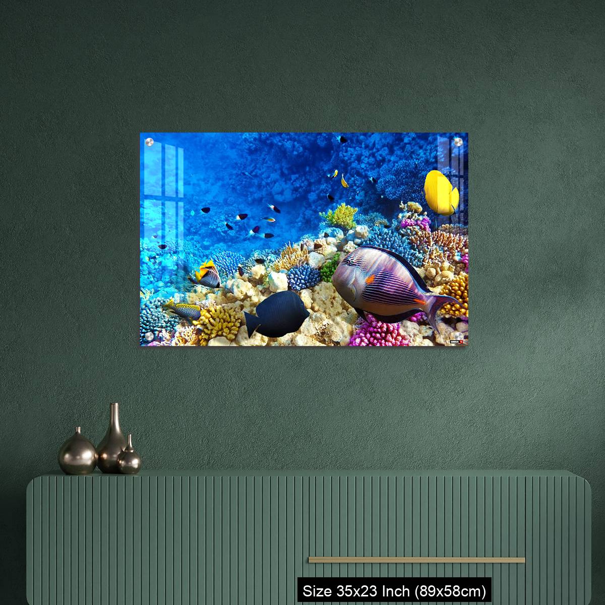 OMGs Acrylic Wall Decor – Coral and fish in the Red Sea. Egypt, Africa. - Image 9