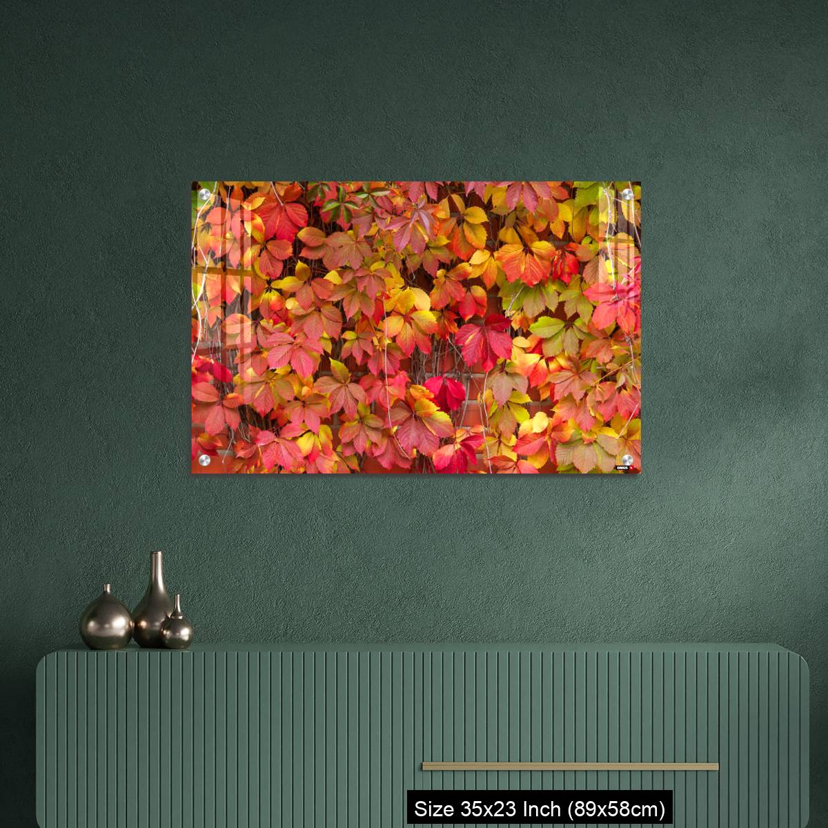 OMGs Acrylic Wall Decor – False Virginia creeper Parthenocissus inserta foliage in autumn colors - Image 9