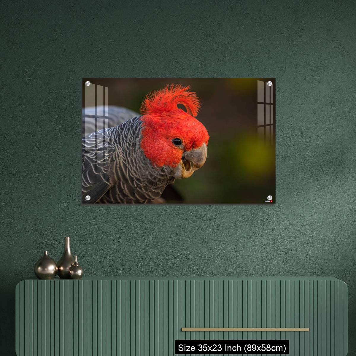 OMGs Acrylic Wall Decor – Gang-gang Cockatoo male eating food in a garden - Image 9