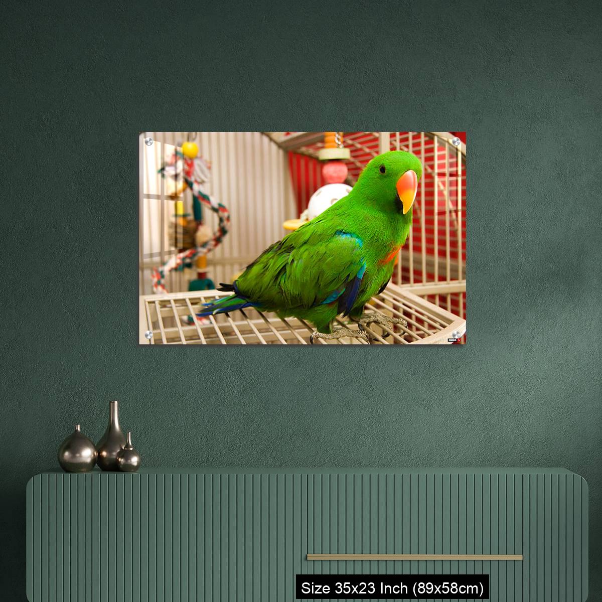OMGs Acrylic Wall Decor – Green parrot perched on the open door of its cage - Image 9