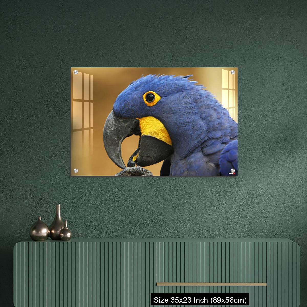 OMGs Acrylic Wall Decor – Hyacinth Macaw, anodorhynchus hyacinthinus, portrait of Adult with open Beak - Image 9