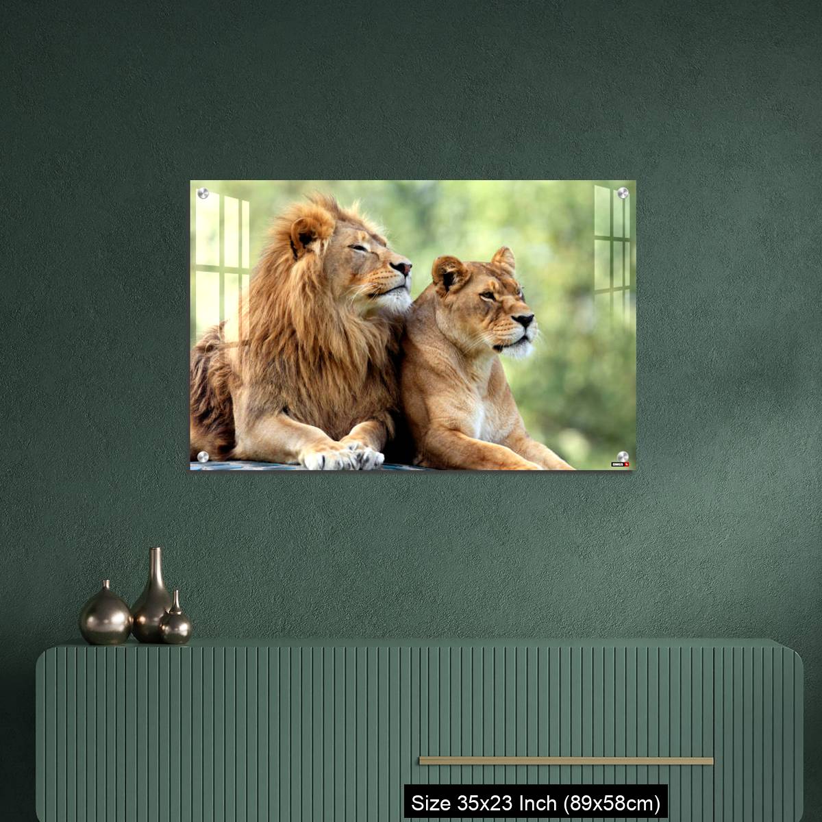 OMGs Acrylic Wall Decor – Pair of adult Lions in zoological garden - Image 9