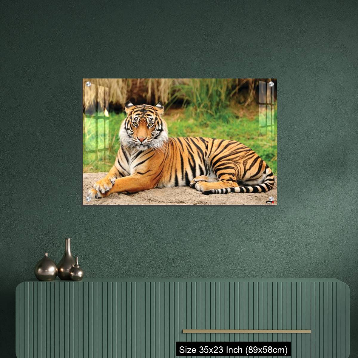 OMGs Acrylic Wall Decor – Royal Bengal Tiger alert and Staring at the Camera - Image 9