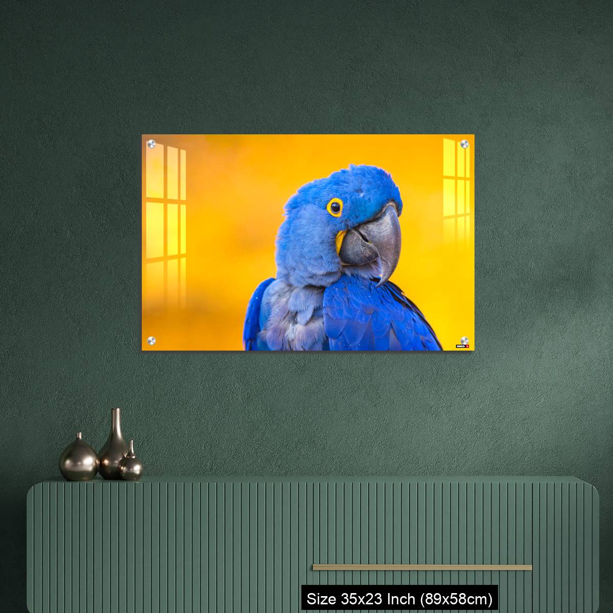 OMGs Acrylic Wall Decor – Portrait of big blue parrot Hyacinth Macaw - Image 9
