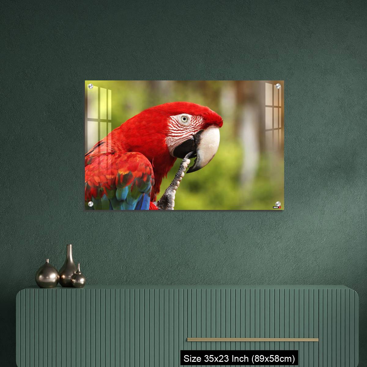 OMGs Acrylic Wall Decor – Red-and-Green Macaw, ara chloroptera, Portrait of Adult - Image 9