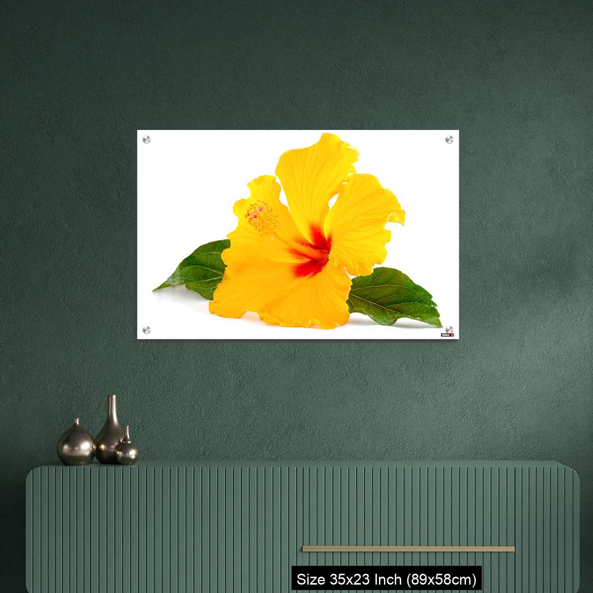 OMGs Acrylic Wall Decor – Tropical Yellow Hibiscus Flower isolated on white - Image 9