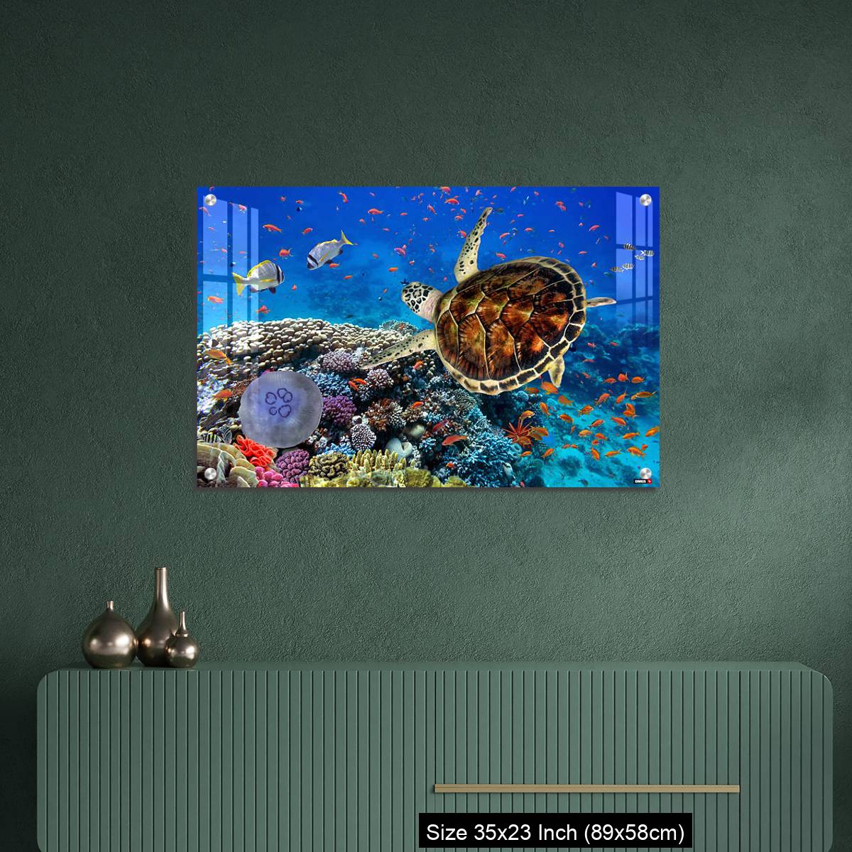 OMGs Acrylic Wall Decor – colorful coral reef with many fishes and sea turtle - Image 9