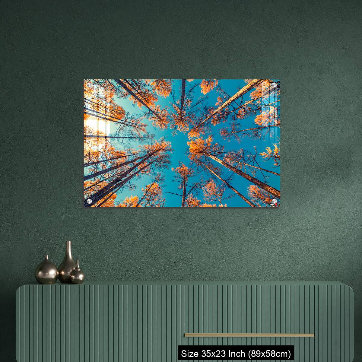 OMGs Acrylic Wall Decor – looking up at trees and clear blue sky - Image 9