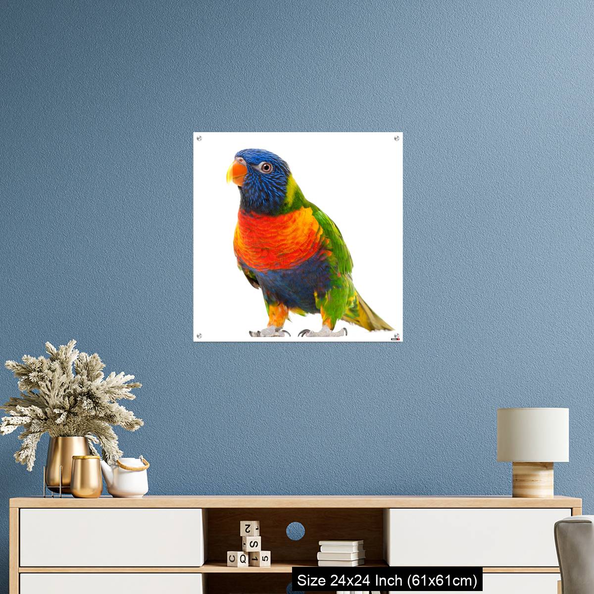 OMGs Acrylic Wall Decor – Rainbow Lorikeet, Trichoglossus haematodus - Image 10