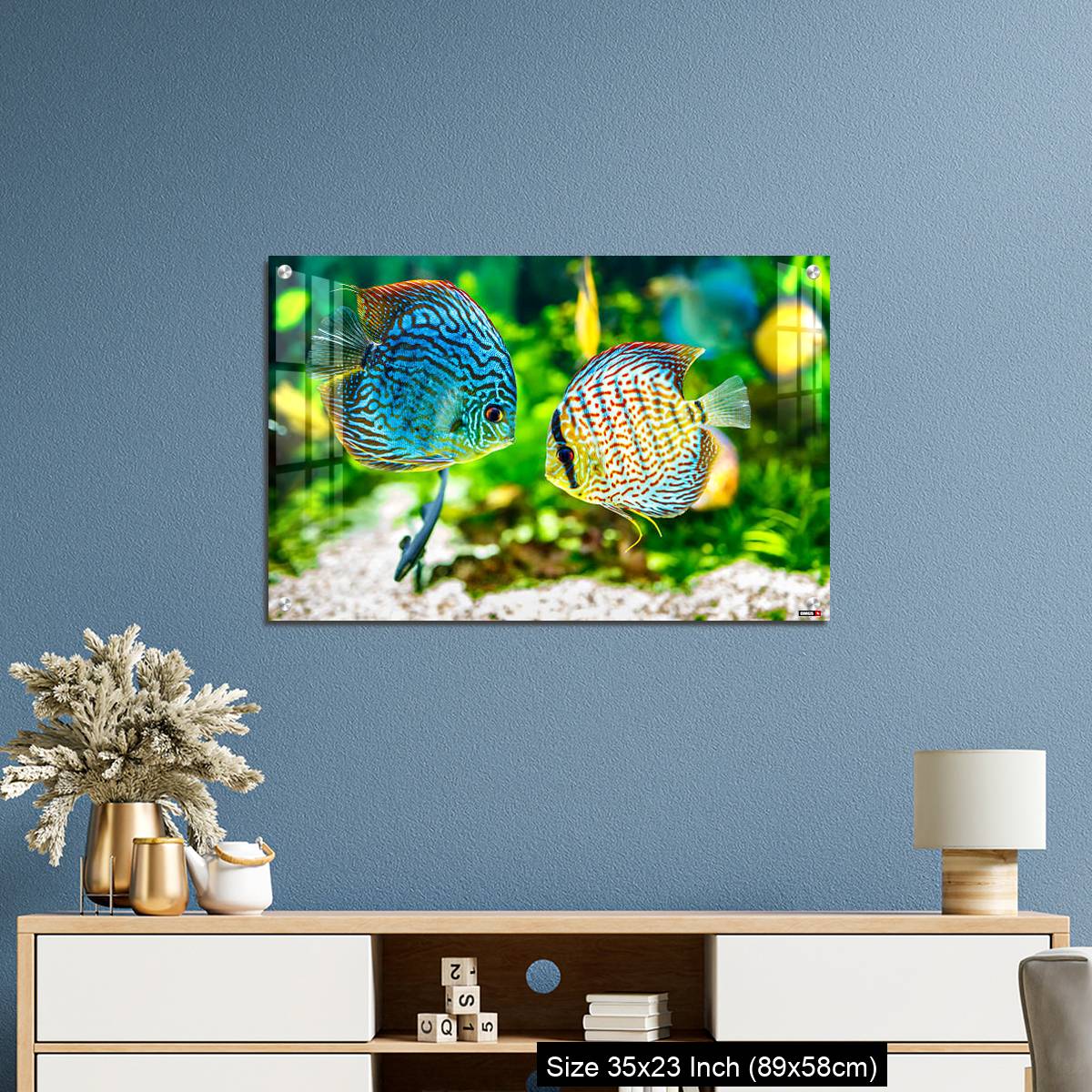 OMGs Acrylic Wall Decor – Aquarium displaying two tropical fish symphsodon discus - Image 10