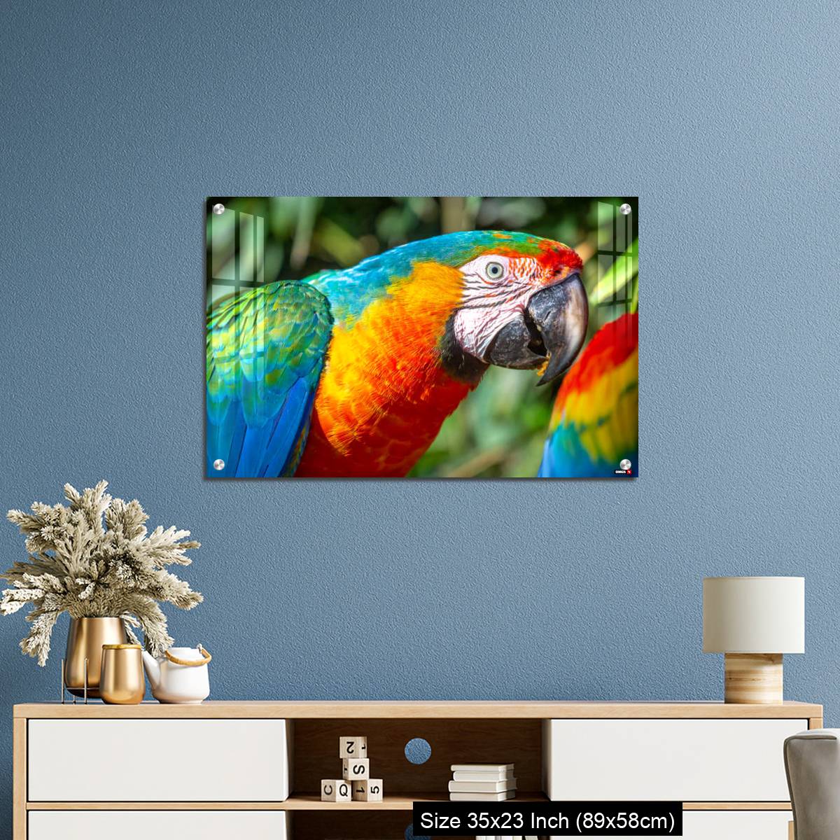 OMGs Acrylic Wall Decor – Colorful Macaw parrot looking at camera in Brazil - Image 10