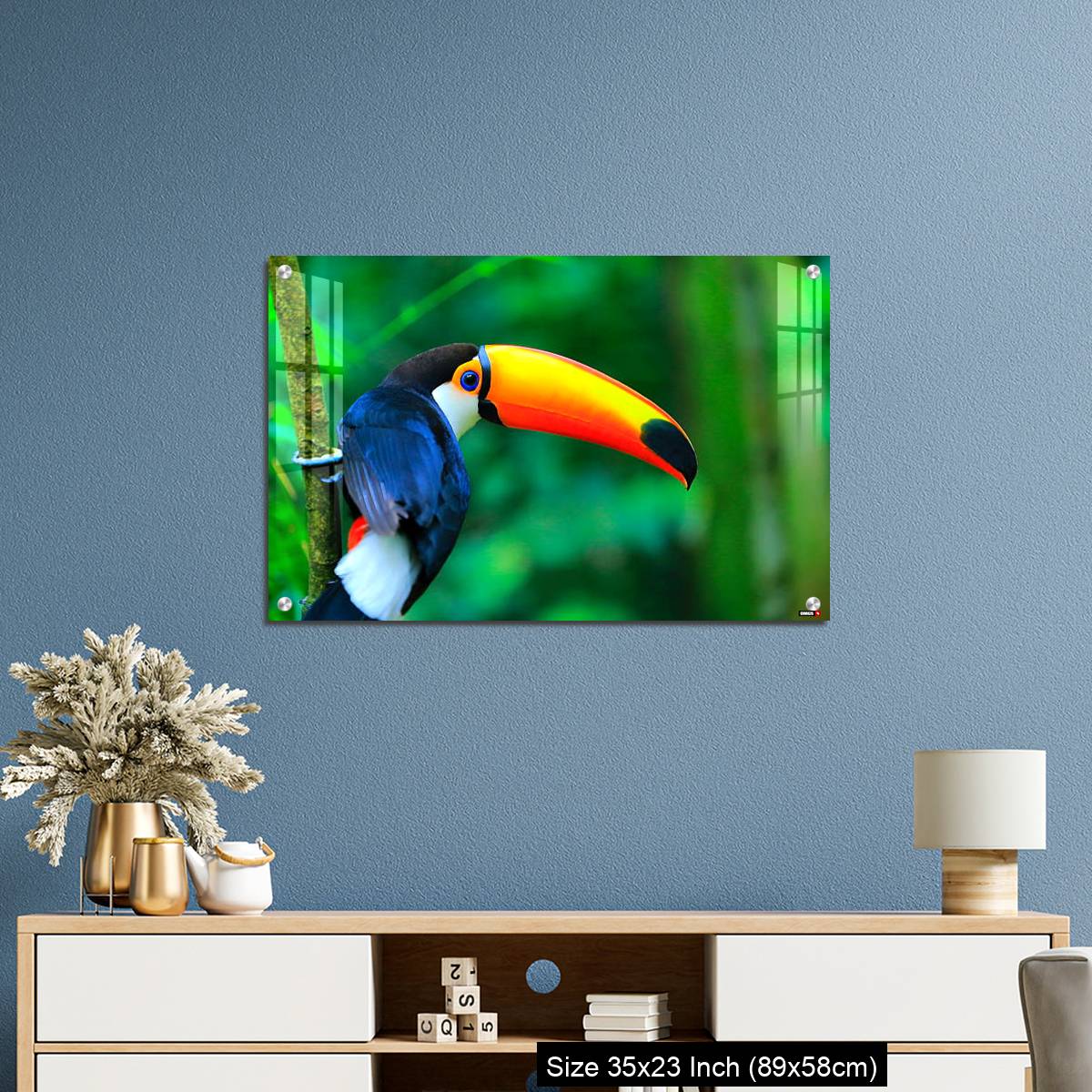 OMGs Acrylic Wall Decor – Colorful cute Toucan tropical bird - Image 10