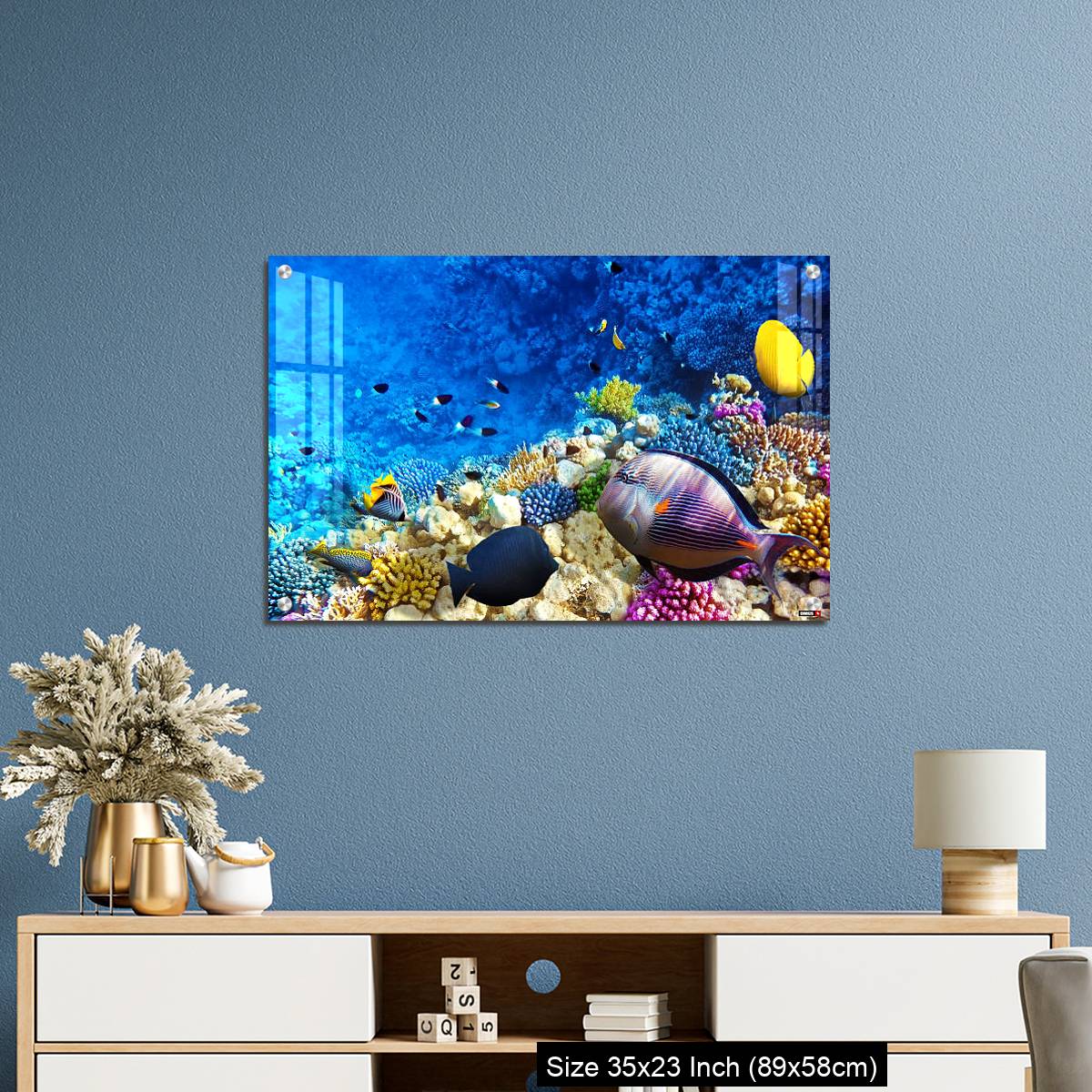 OMGs Acrylic Wall Decor – Coral and fish in the Red Sea. Egypt, Africa. - Image 10