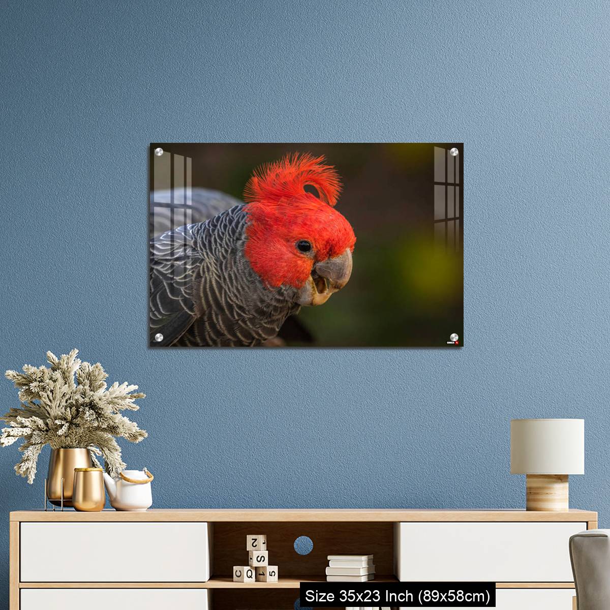 OMGs Acrylic Wall Decor – Gang-gang Cockatoo male eating food in a garden - Image 10