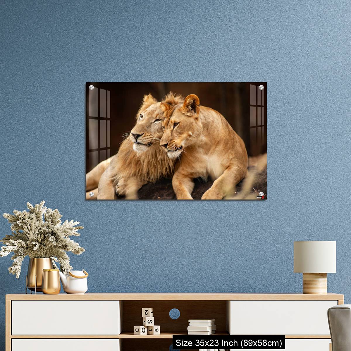 OMGs Acrylic Wall Decor – Male and Female Lions  lying down together on the ground - Image 10