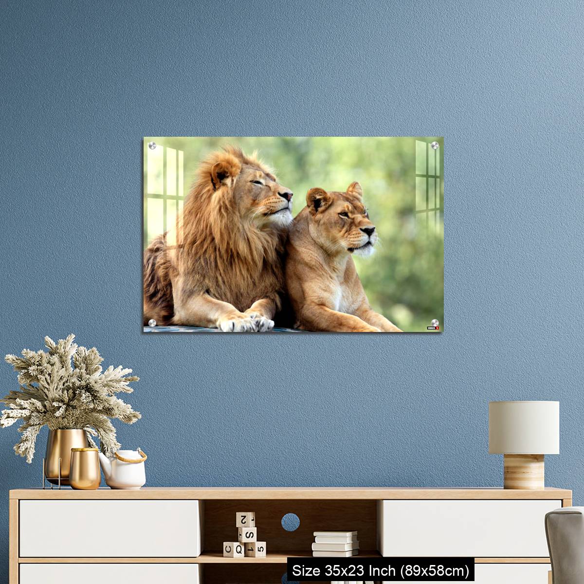 OMGs Acrylic Wall Decor – Pair of adult Lions in zoological garden - Image 10