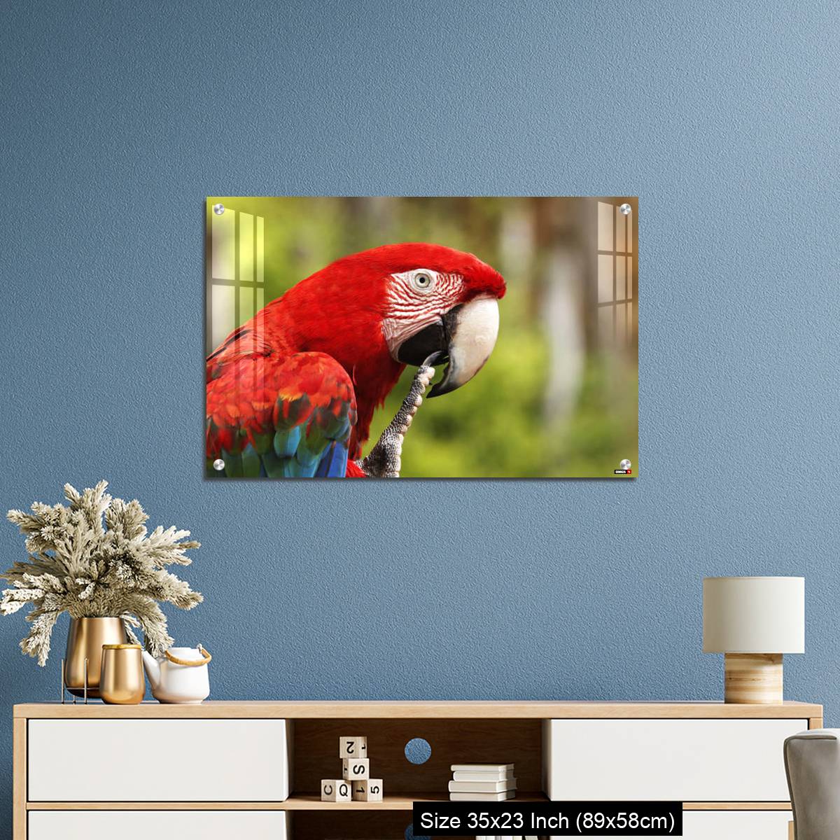 OMGs Acrylic Wall Decor – Red-and-Green Macaw, ara chloroptera, Portrait of Adult - Image 10