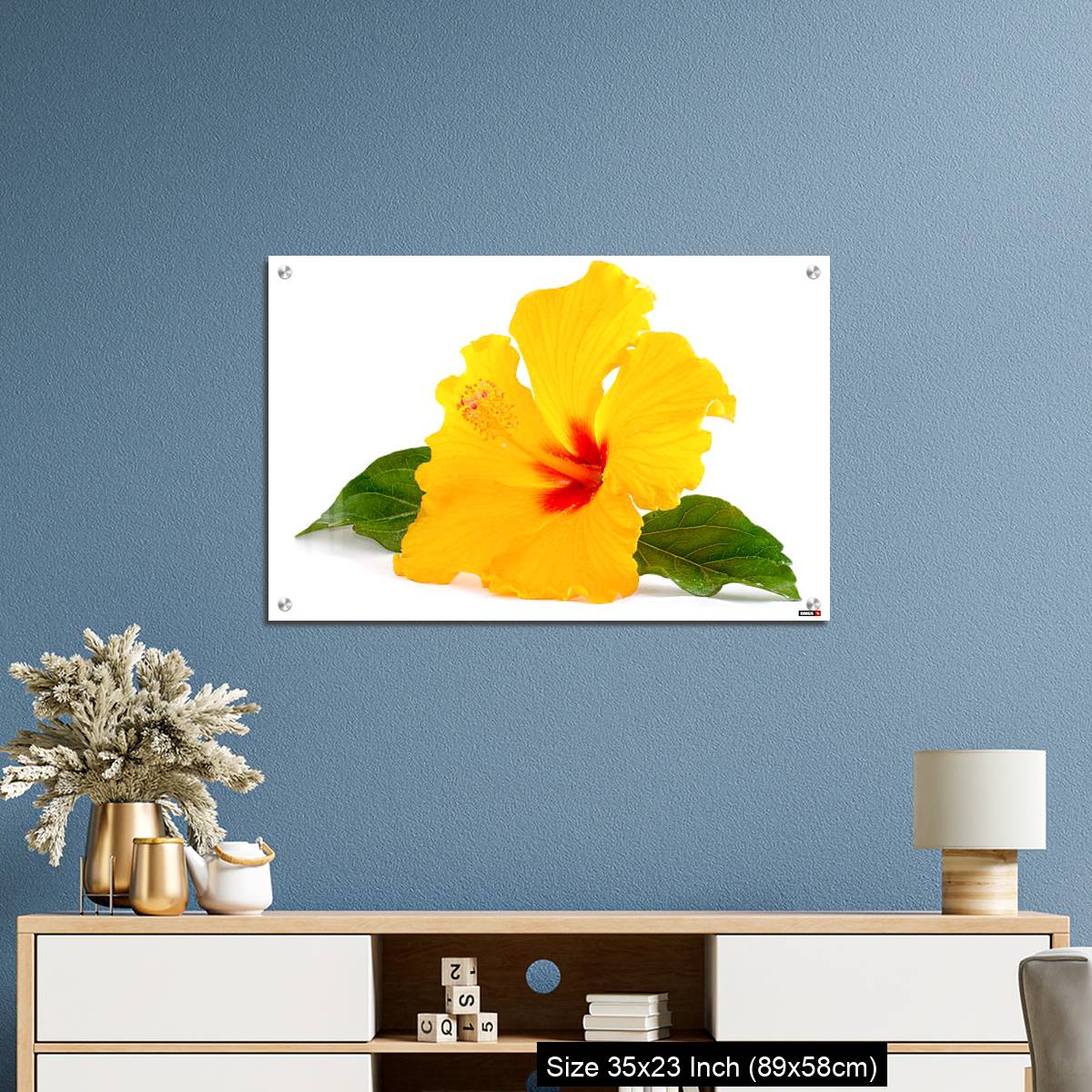 OMGs Acrylic Wall Decor – Tropical Yellow Hibiscus Flower isolated on white - Image 10
