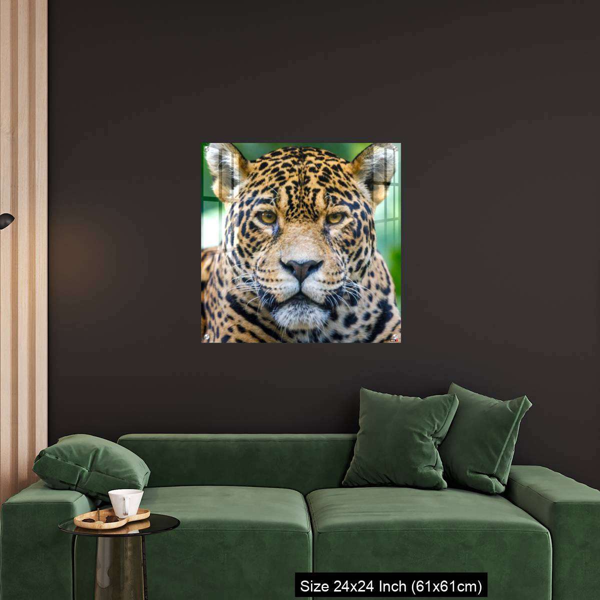 OMGs Acrylic Wall Decor – Jaguar looking at camera - Pantanal wetlands, Brazil - Image 11