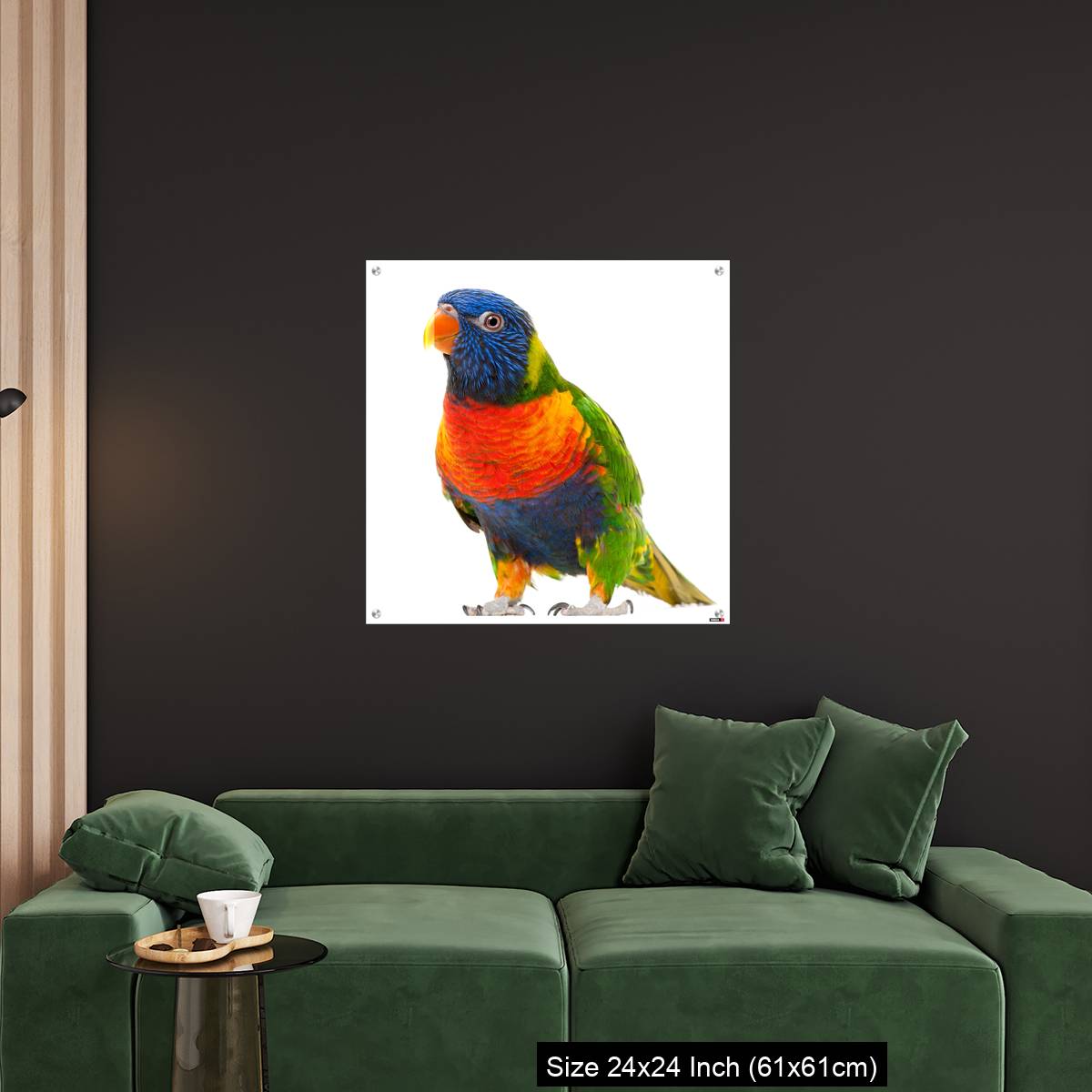 OMGs Acrylic Wall Decor – Rainbow Lorikeet, Trichoglossus haematodus - Image 11