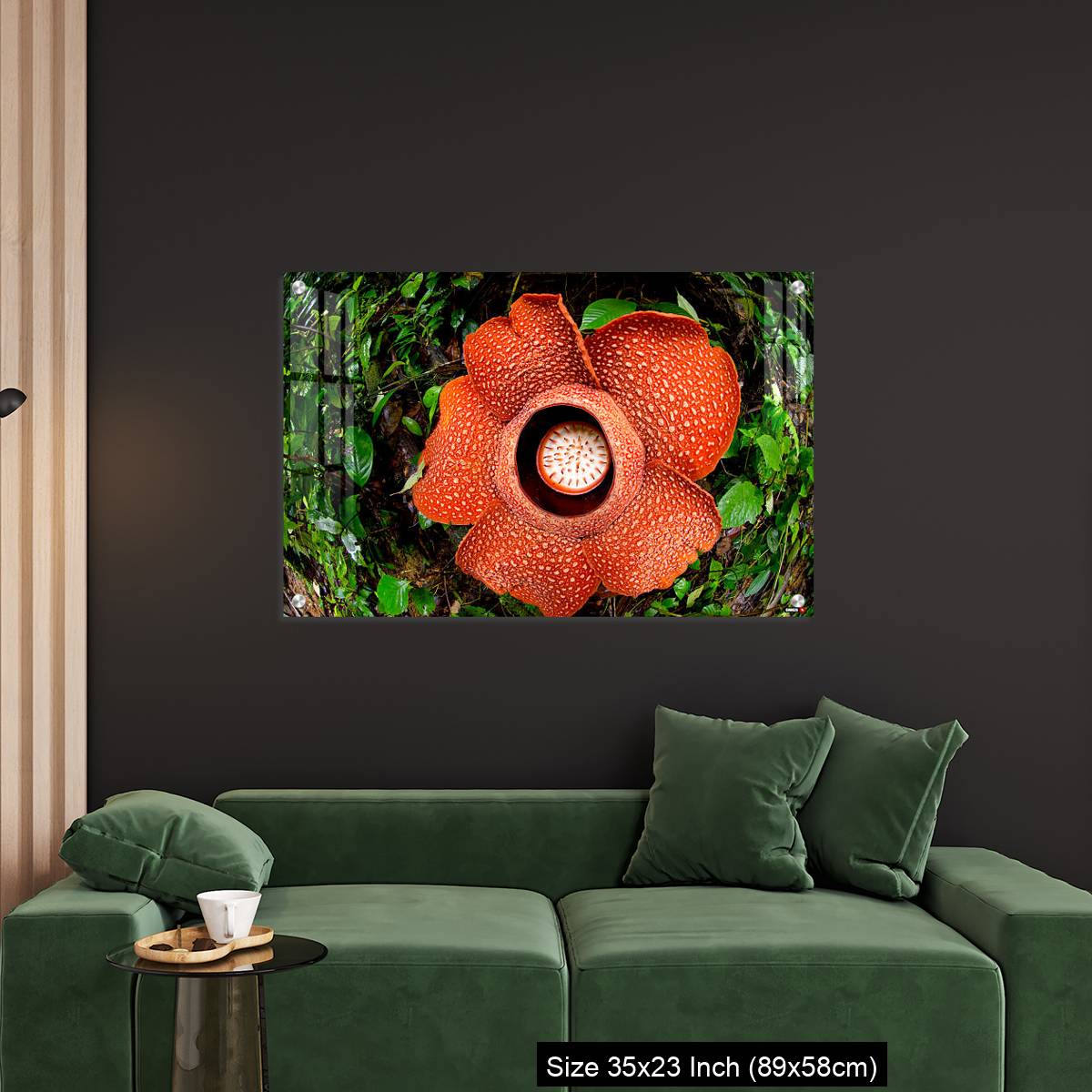 OMGs Acrylic Wall Decor – A beautiful Rafflesia arnoldii bloom in the tropical rainforest of Sumatra - Image 11