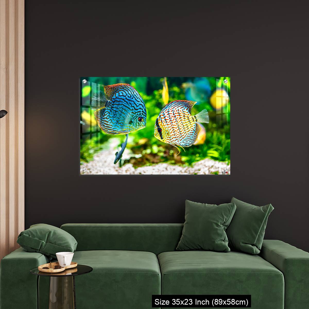 OMGs Acrylic Wall Decor – Aquarium displaying two tropical fish symphsodon discus - Image 11