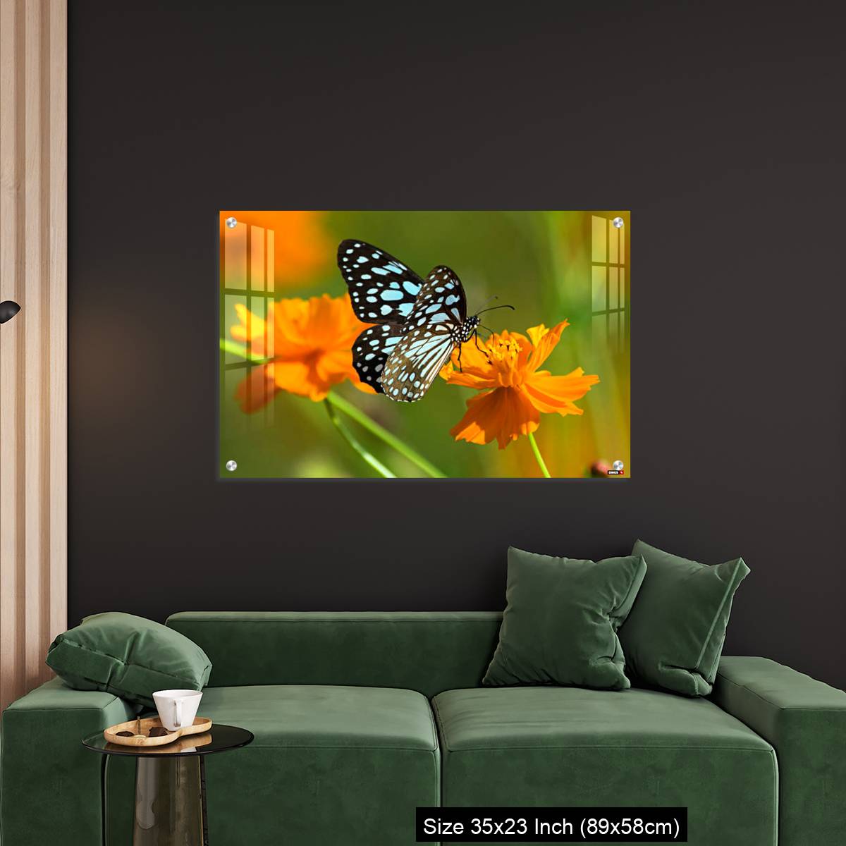 OMGs Acrylic Wall Decor – Blue tiger butterfly or Tirumala limniace on an orange flower - Image 11