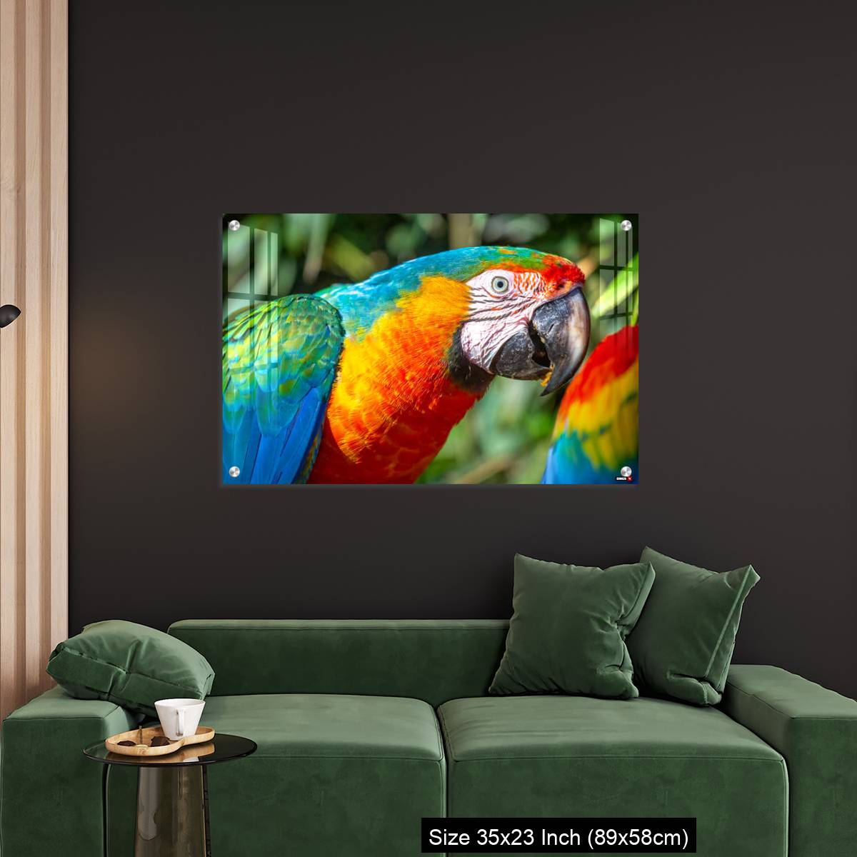 OMGs Acrylic Wall Decor – Colorful Macaw parrot looking at camera in Brazil - Image 11