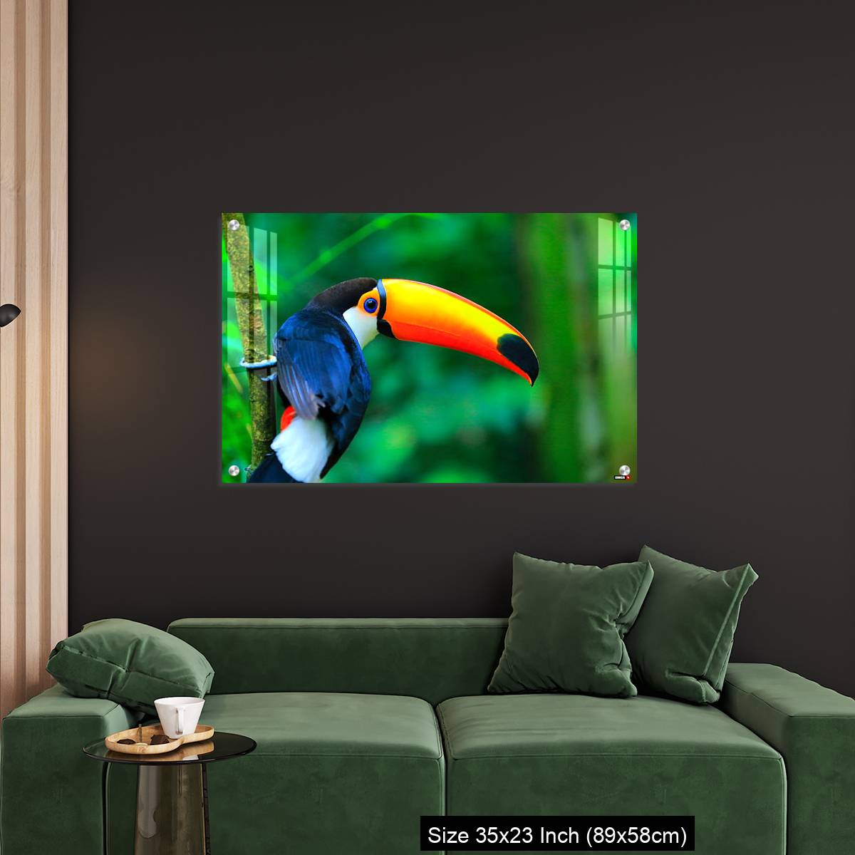 OMGs Acrylic Wall Decor – Colorful cute Toucan tropical bird - Image 11