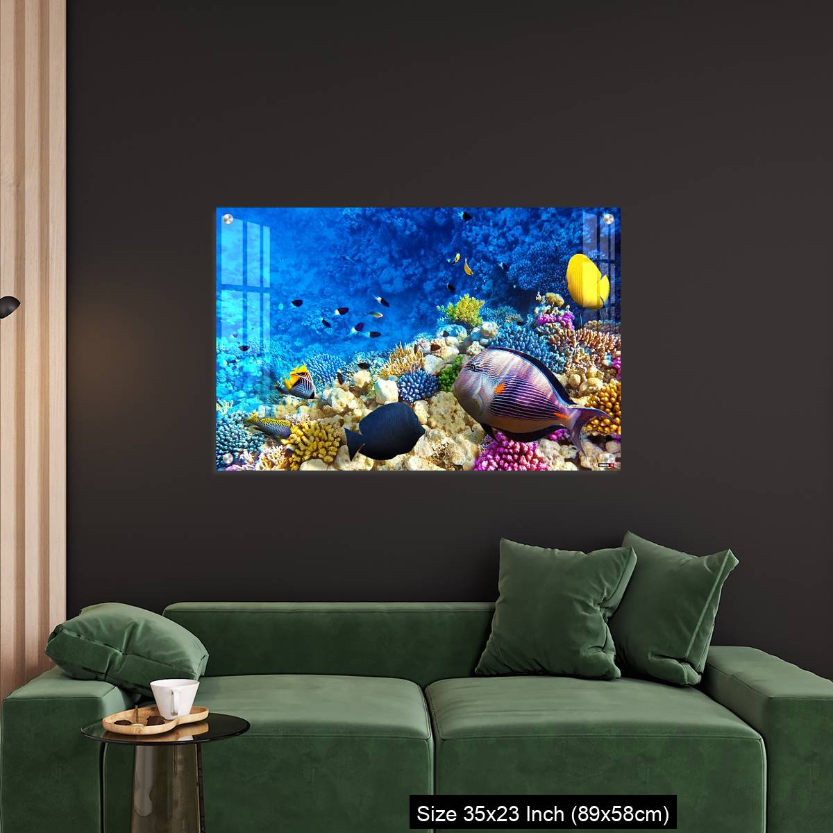 OMGs Acrylic Wall Decor – Coral and fish in the Red Sea. Egypt, Africa. - Image 11