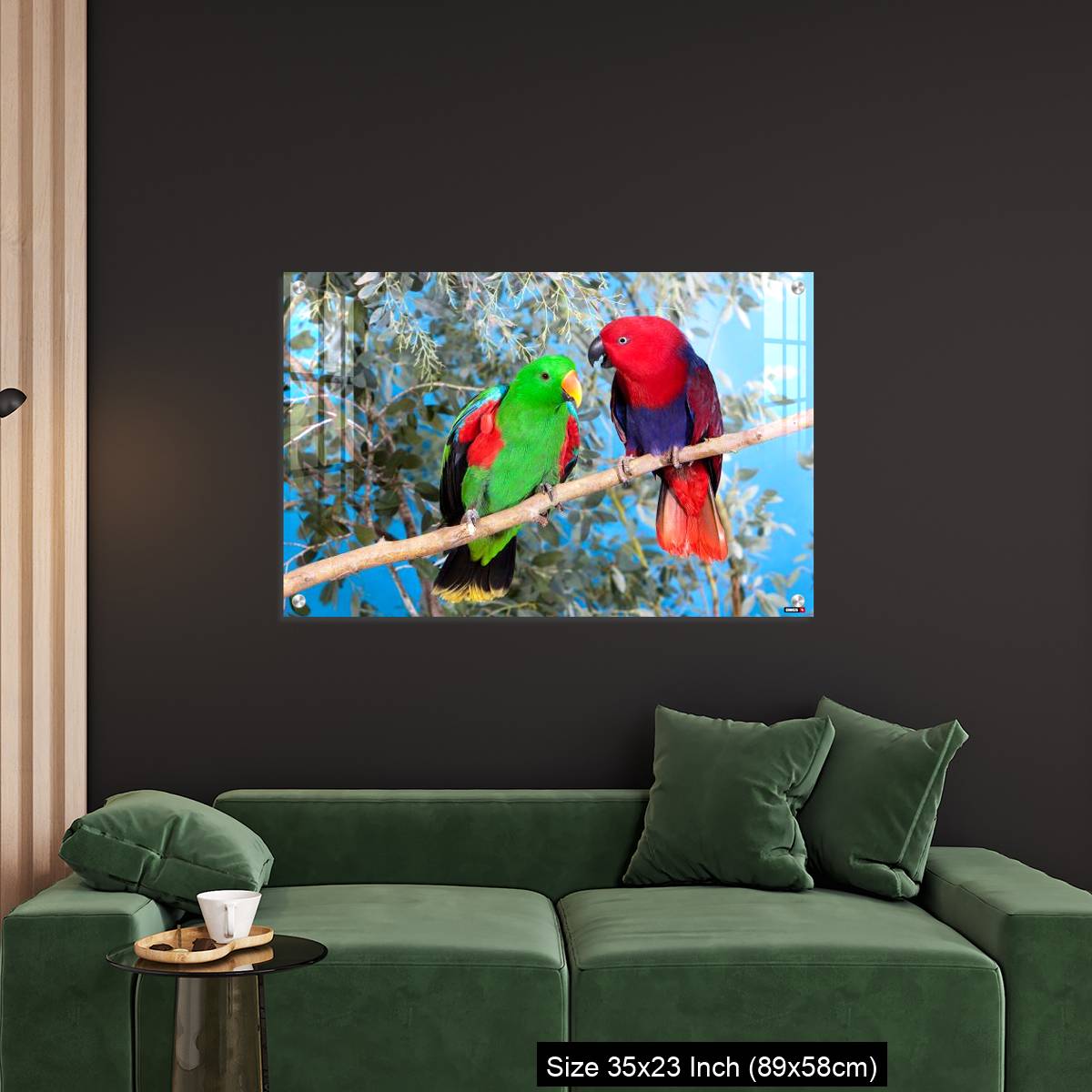OMGs Acrylic Wall Decor – Eclectus Parrot, eclectus roratus, Pair standing on Branch, Male (green) and Female (Red) - Image 11