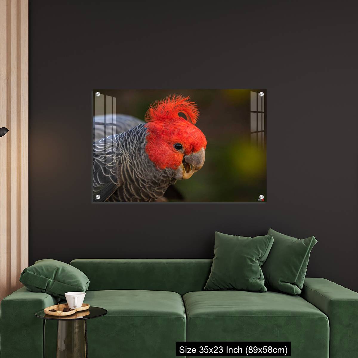 OMGs Acrylic Wall Decor – Gang-gang Cockatoo male eating food in a garden - Image 11