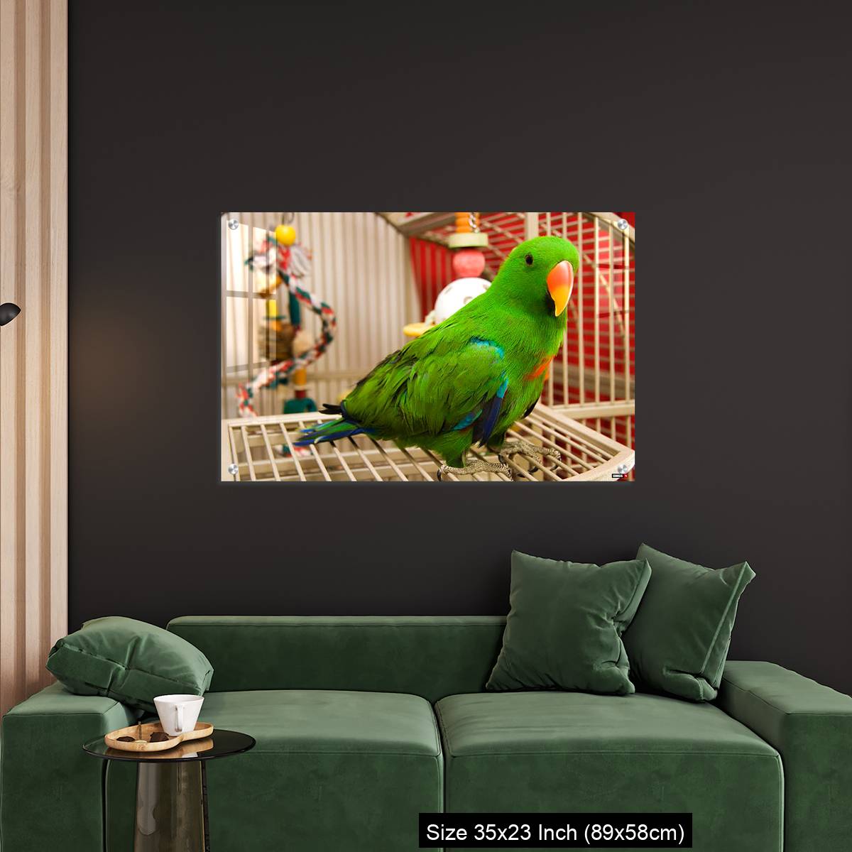 OMGs Acrylic Wall Decor – Green parrot perched on the open door of its cage - Image 11