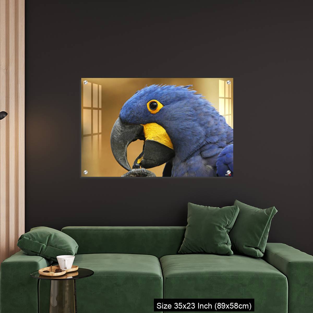 OMGs Acrylic Wall Decor – Hyacinth Macaw, anodorhynchus hyacinthinus, portrait of Adult with open Beak - Image 11