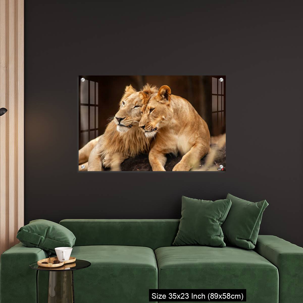 OMGs Acrylic Wall Decor – Male and Female Lions  lying down together on the ground - Image 11