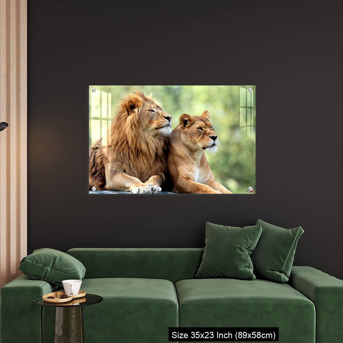 OMGs Acrylic Wall Decor – Pair of adult Lions in zoological garden - Image 11
