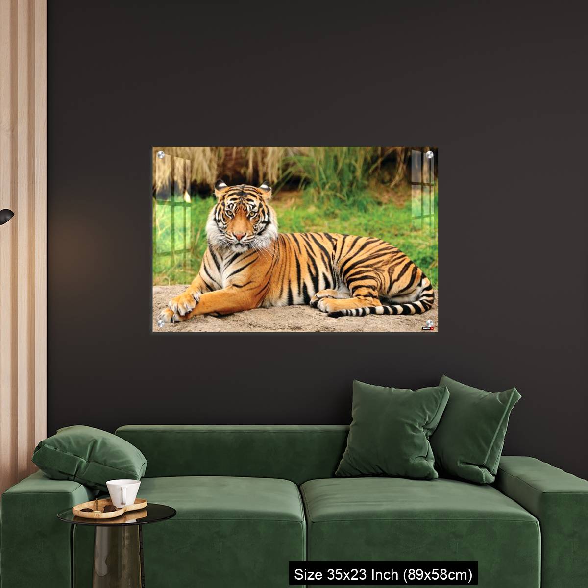 OMGs Acrylic Wall Decor – Royal Bengal Tiger alert and Staring at the Camera - Image 11