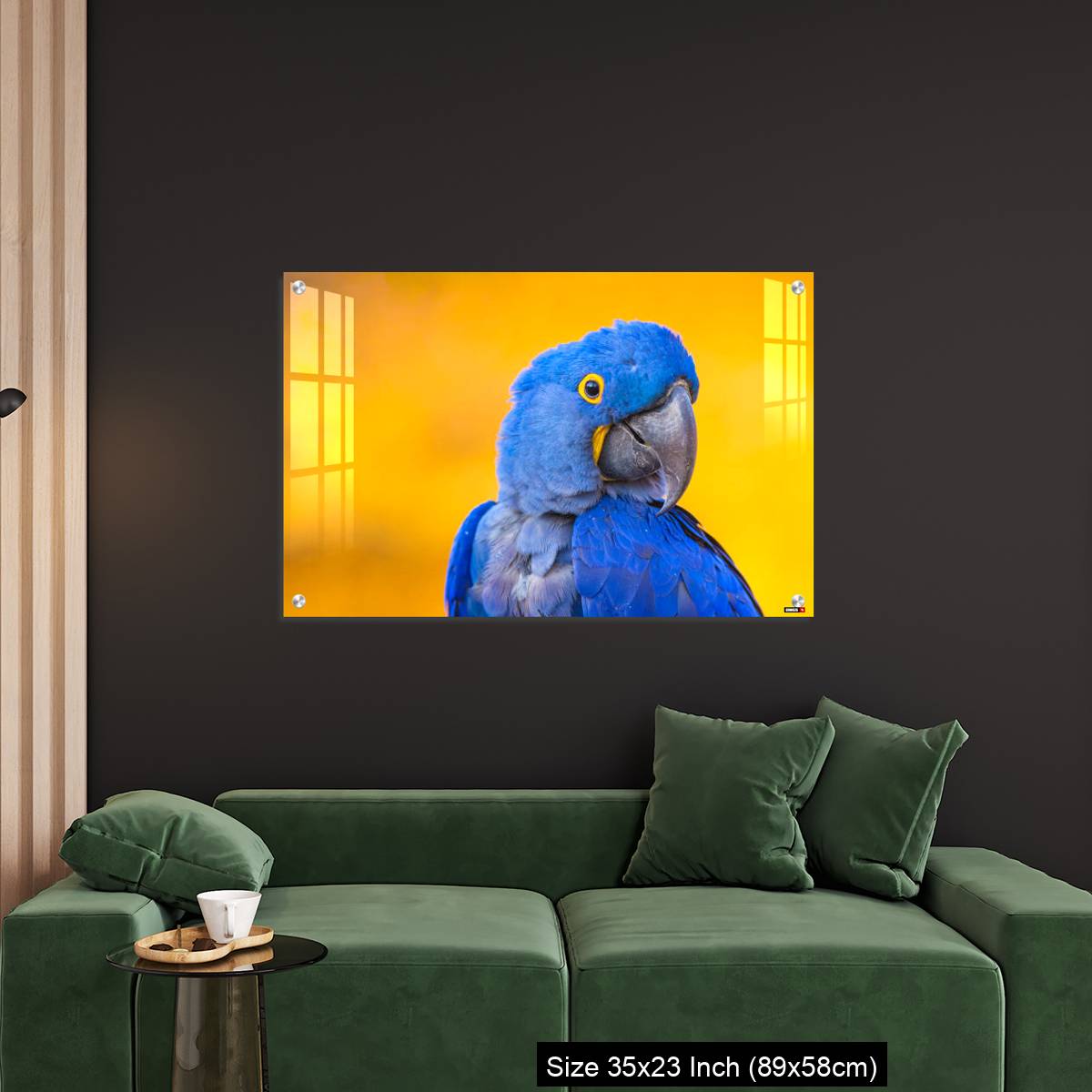 OMGs Acrylic Wall Decor – Portrait of big blue parrot Hyacinth Macaw - Image 11