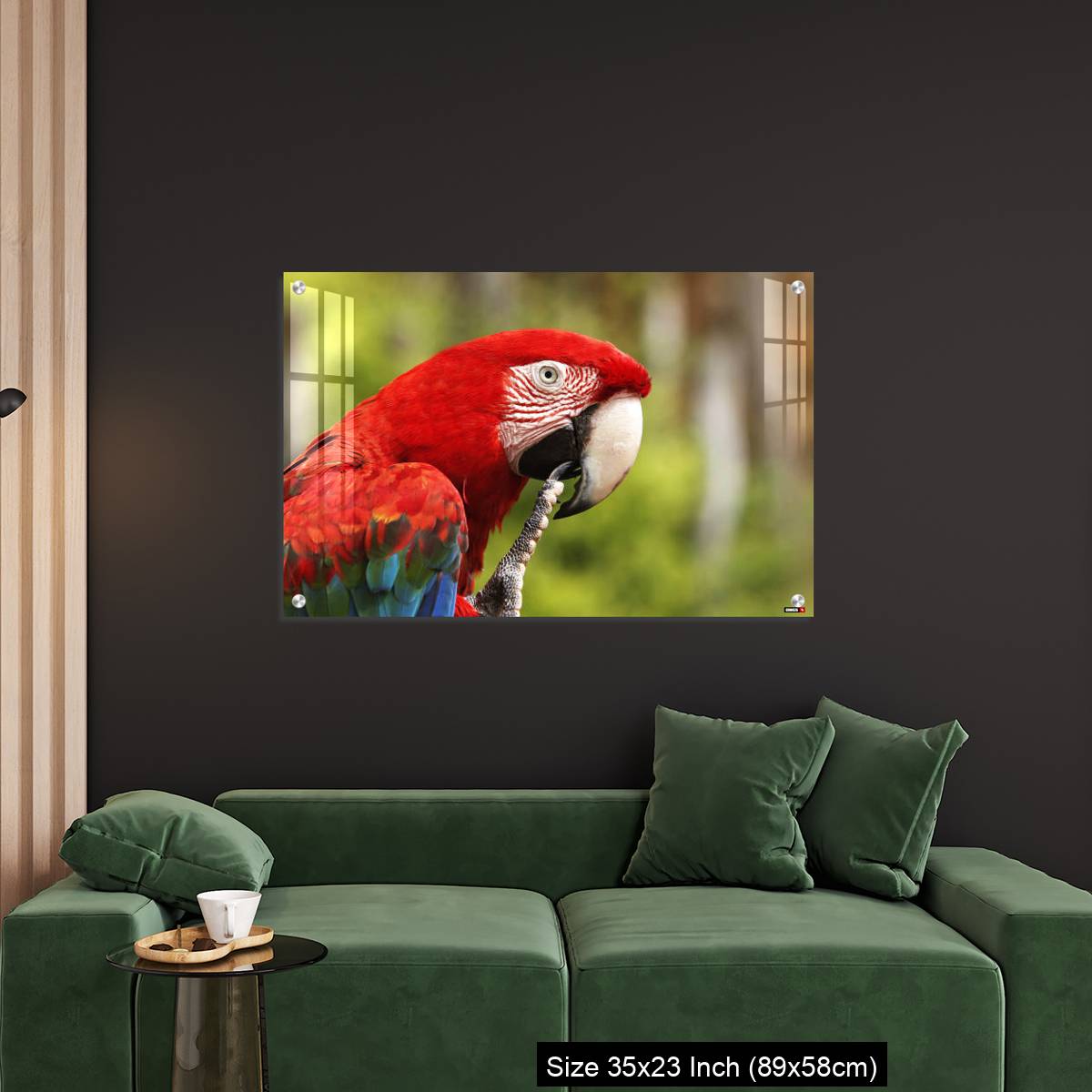 OMGs Acrylic Wall Decor – Red-and-Green Macaw, ara chloroptera, Portrait of Adult - Image 11