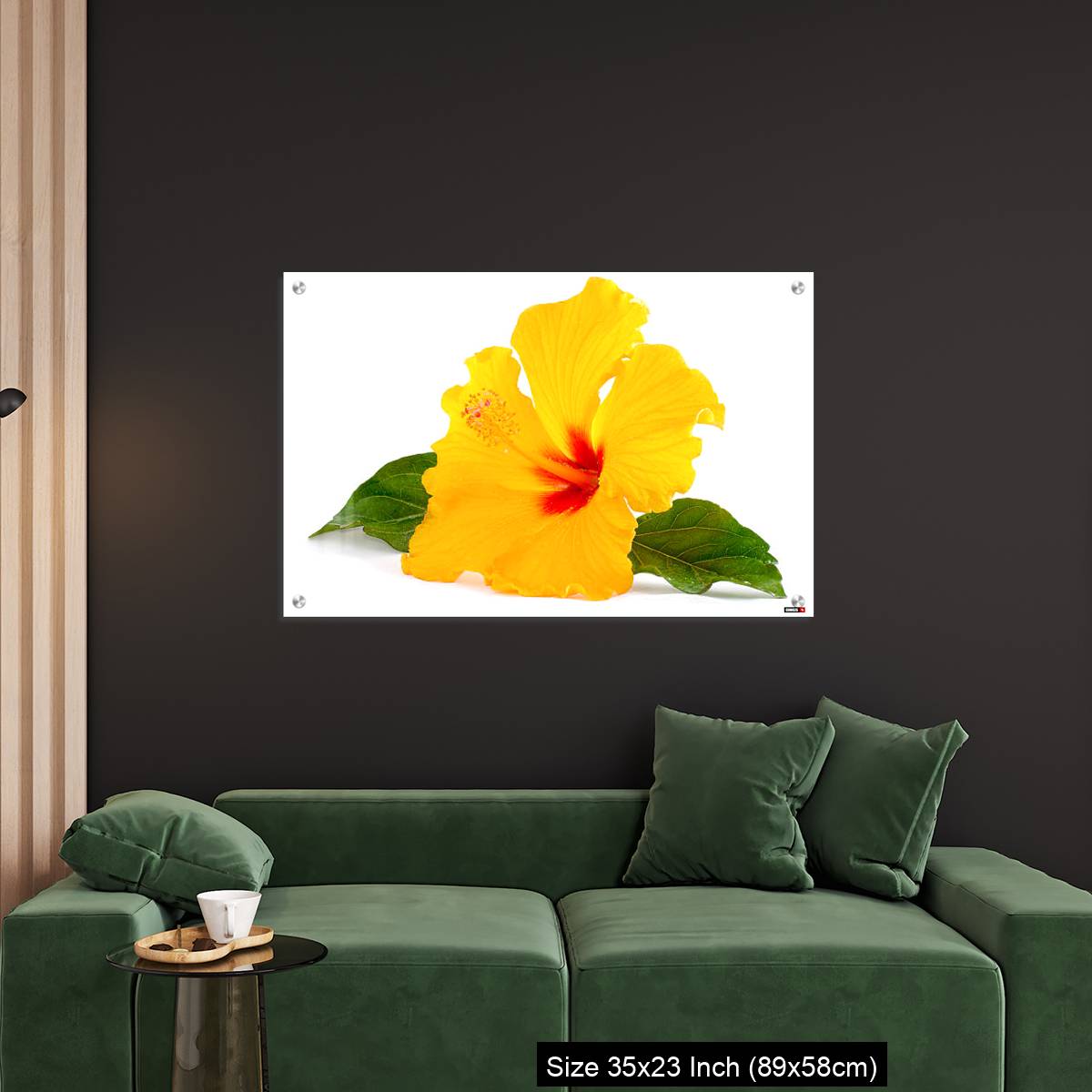 OMGs Acrylic Wall Decor – Tropical Yellow Hibiscus Flower isolated on white - Image 11