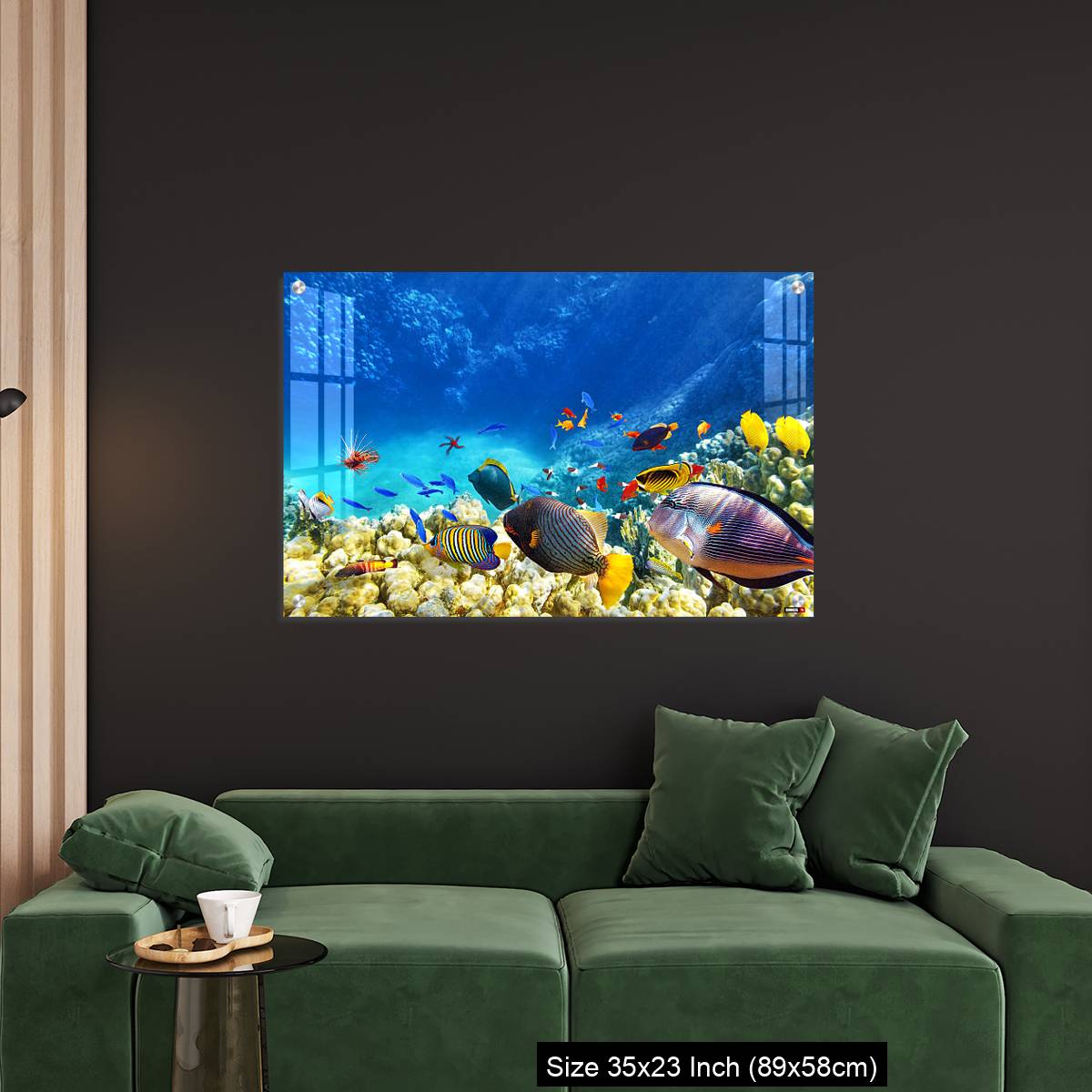 OMGs Acrylic Wall Decor – Underwater world with corals and tropical fish. - Image 11