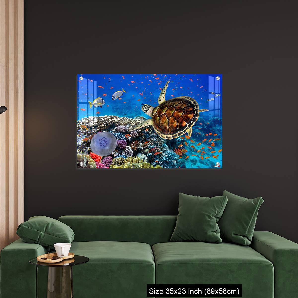 OMGs Acrylic Wall Decor – colorful coral reef with many fishes and sea turtle - Image 11