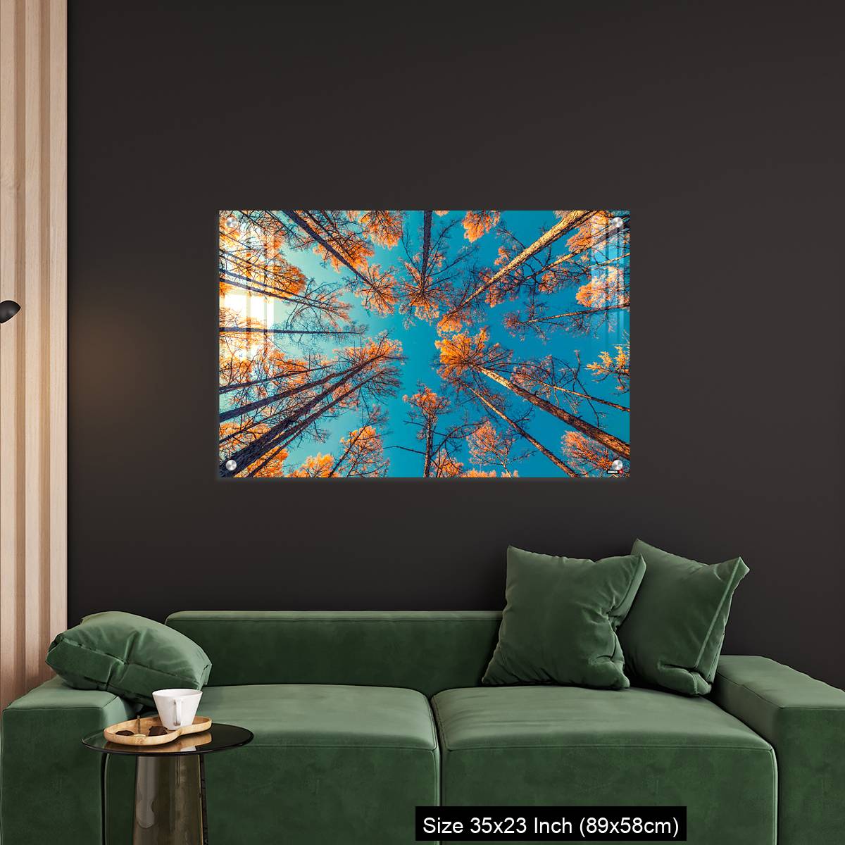 OMGs Acrylic Wall Decor – looking up at trees and clear blue sky - Image 11