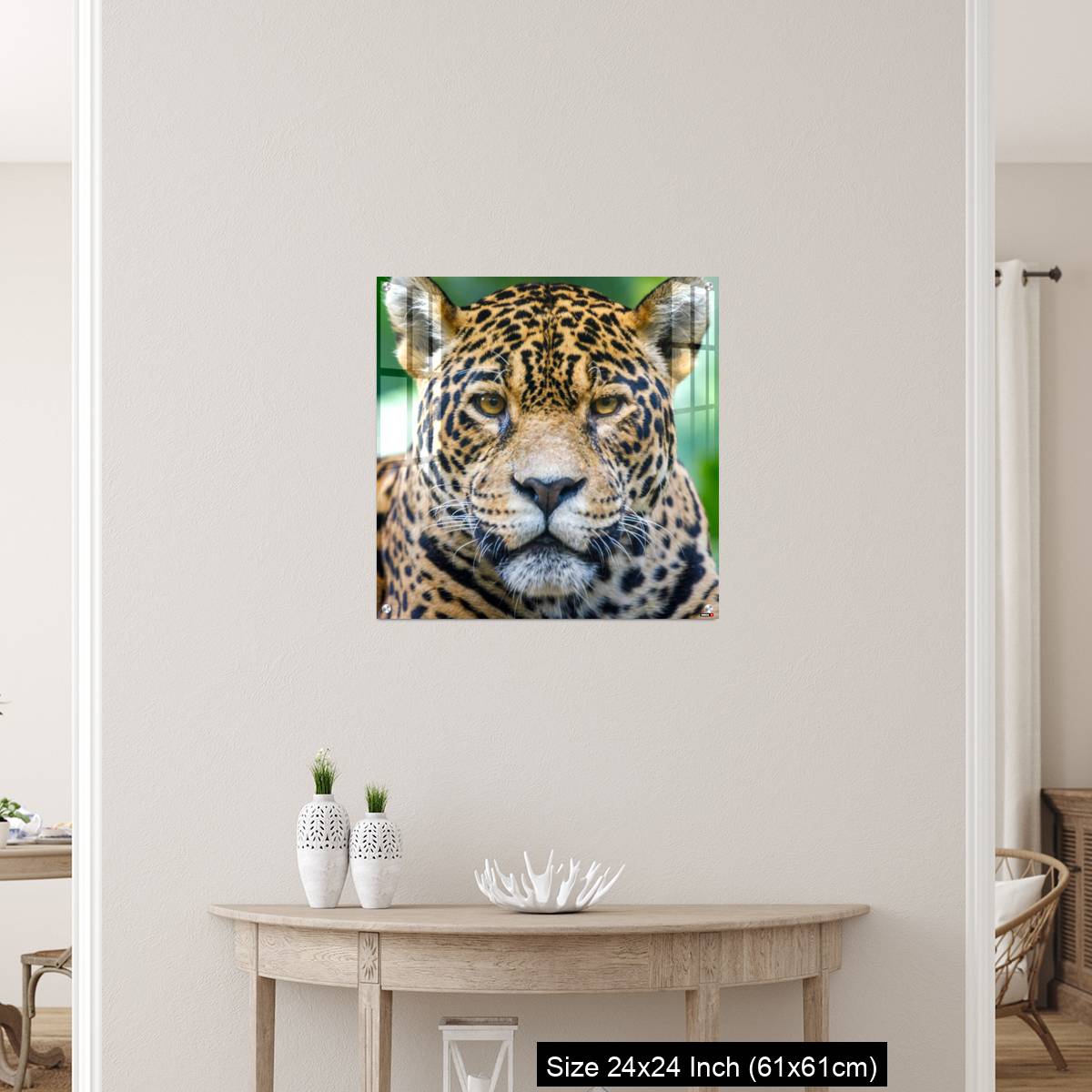 OMGs Acrylic Wall Decor – Jaguar looking at camera - Pantanal wetlands, Brazil - Image 12