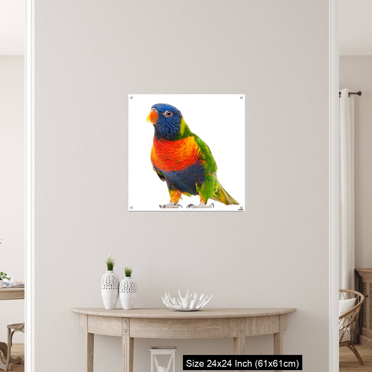 OMGs Acrylic Wall Decor – Rainbow Lorikeet, Trichoglossus haematodus - Image 12