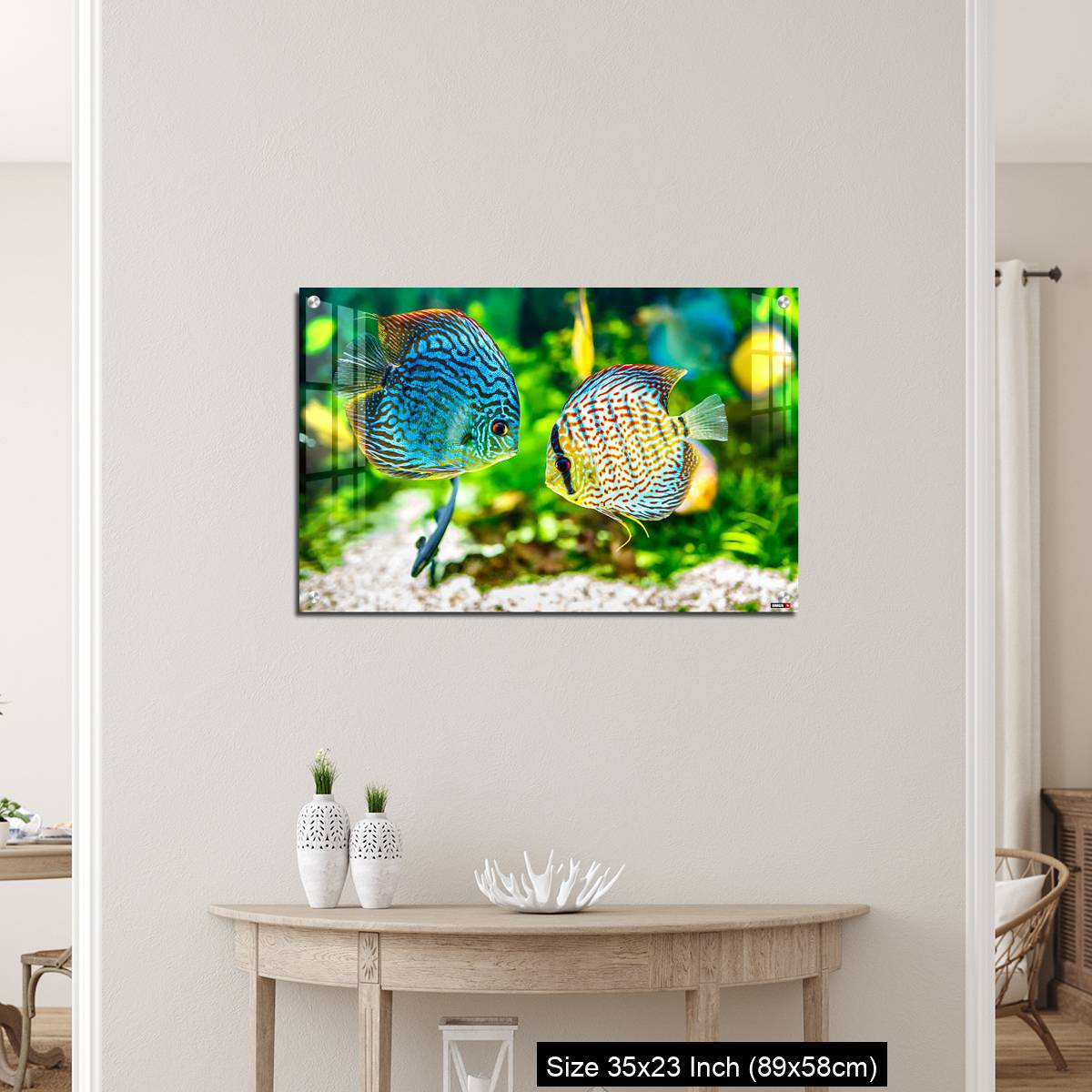 OMGs Acrylic Wall Decor – Aquarium displaying two tropical fish symphsodon discus - Image 12