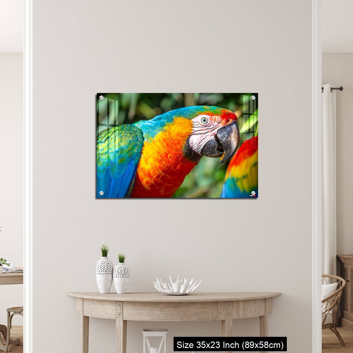 OMGs Acrylic Wall Decor – Colorful Macaw parrot looking at camera in Brazil - Image 12