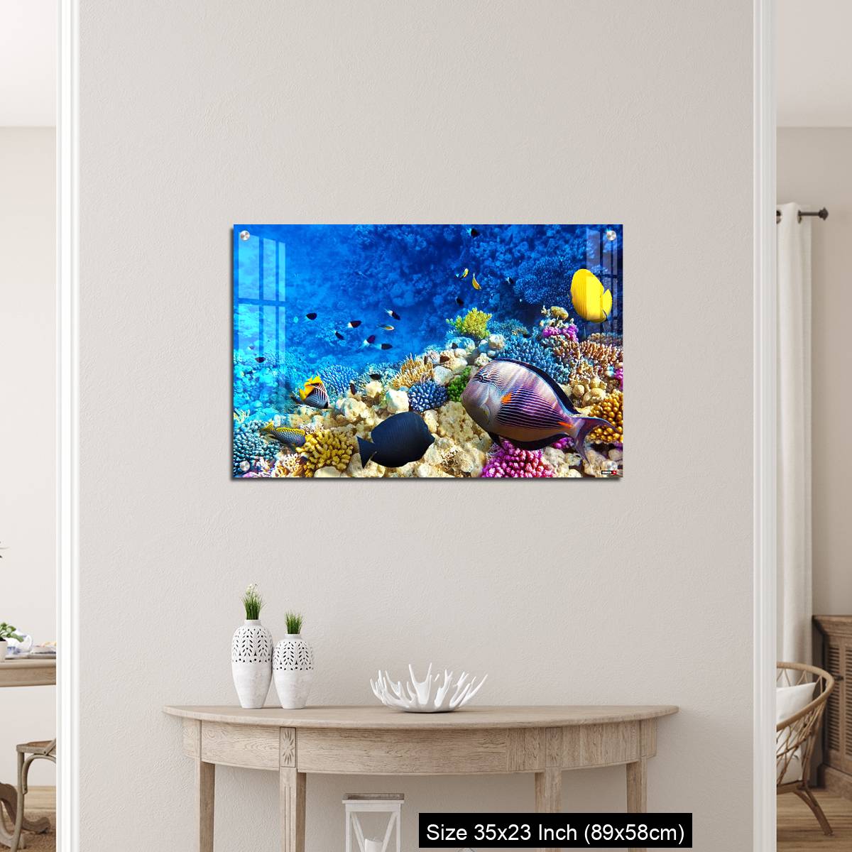 OMGs Acrylic Wall Decor – Coral and fish in the Red Sea. Egypt, Africa. - Image 12