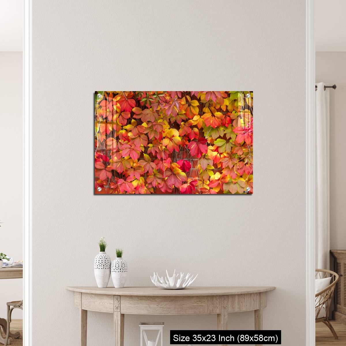 OMGs Acrylic Wall Decor – False Virginia creeper Parthenocissus inserta foliage in autumn colors - Image 12